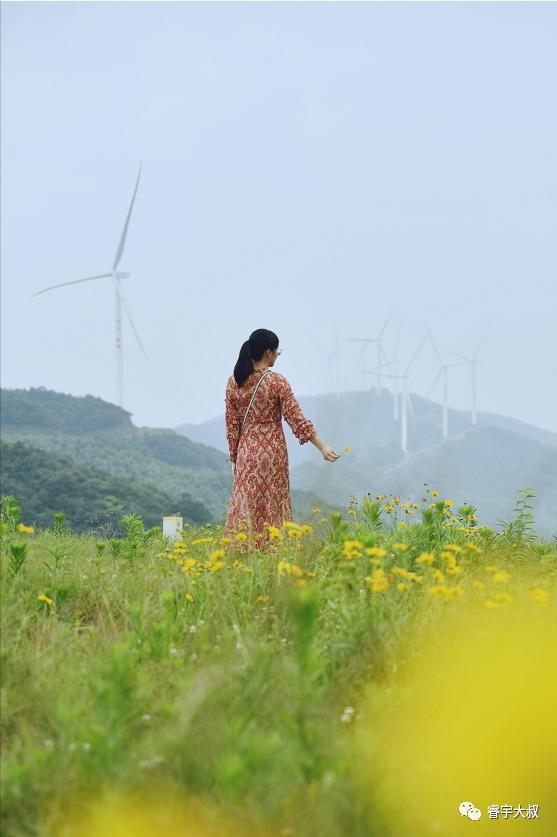 长沙附近有发电风车景点,长沙一日游玩最佳地方免费露营