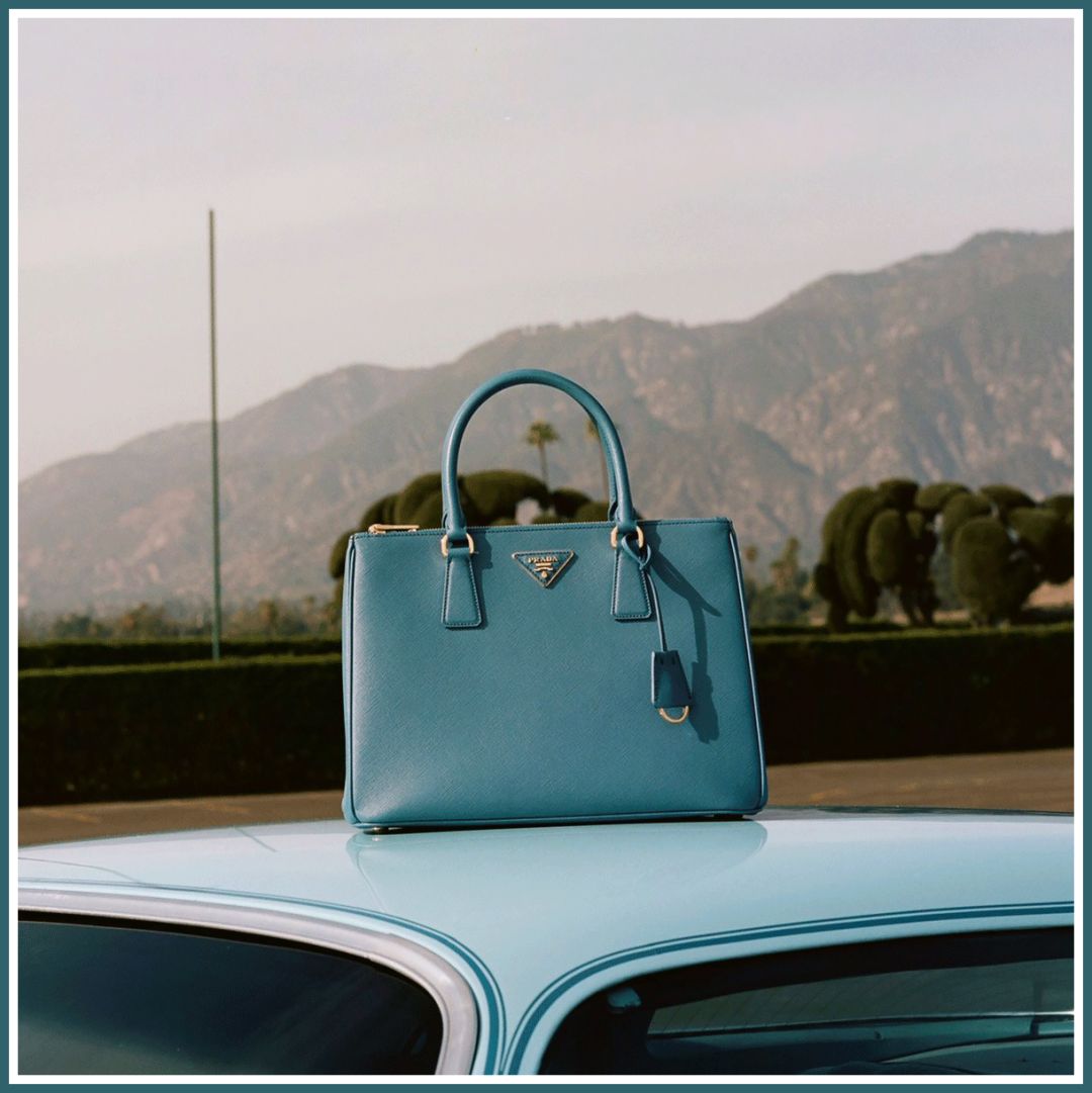 除了苏家和凌家还有什么家,除了苏家还有哪个家族