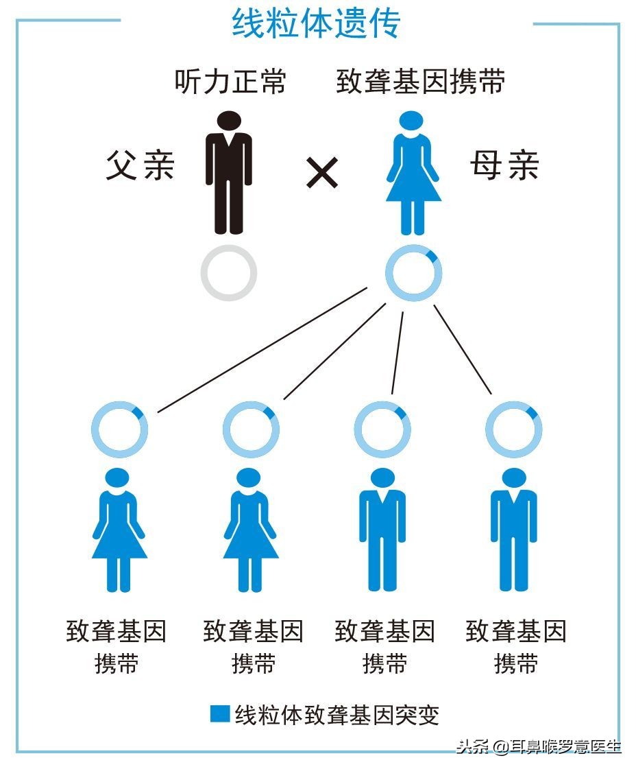 妈妈，我吃了感冒药后聋了——耳毒*药性**物，你了解吗