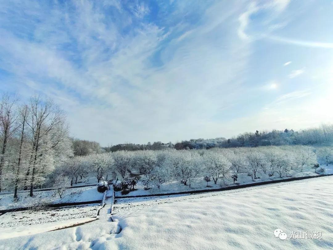 替你“打卡”！疫情中的光山雪景