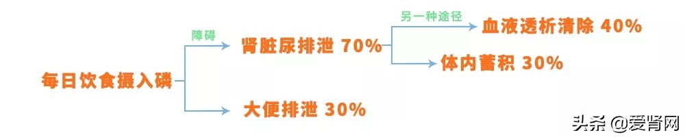 降磷的食物一览表,怎么降磷最好吃什么食物