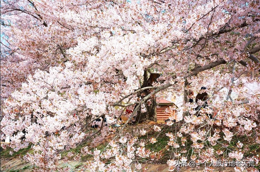 厦门海滨老城旅游,厦门最美海滨城