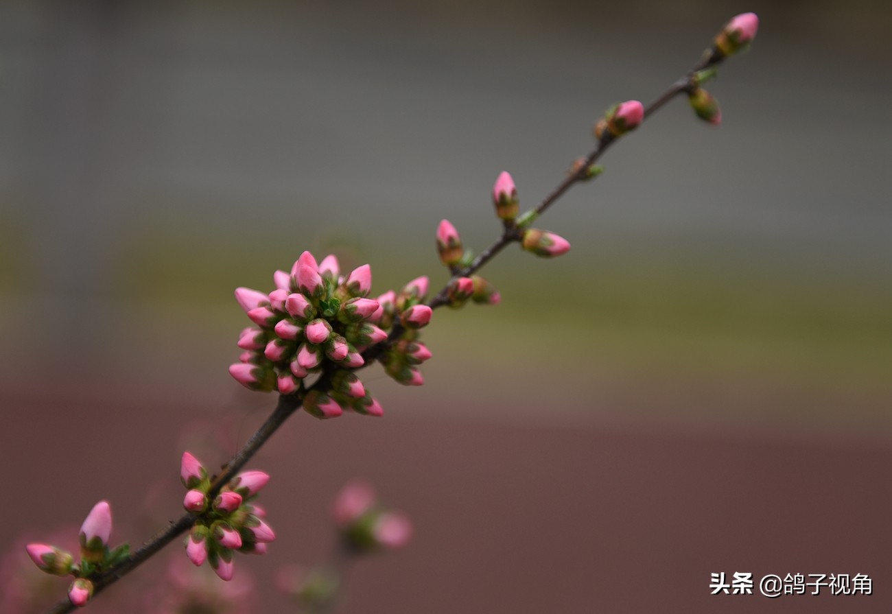 难容之事不妨付之一笑,生气时能够坦然一笑是一种大度