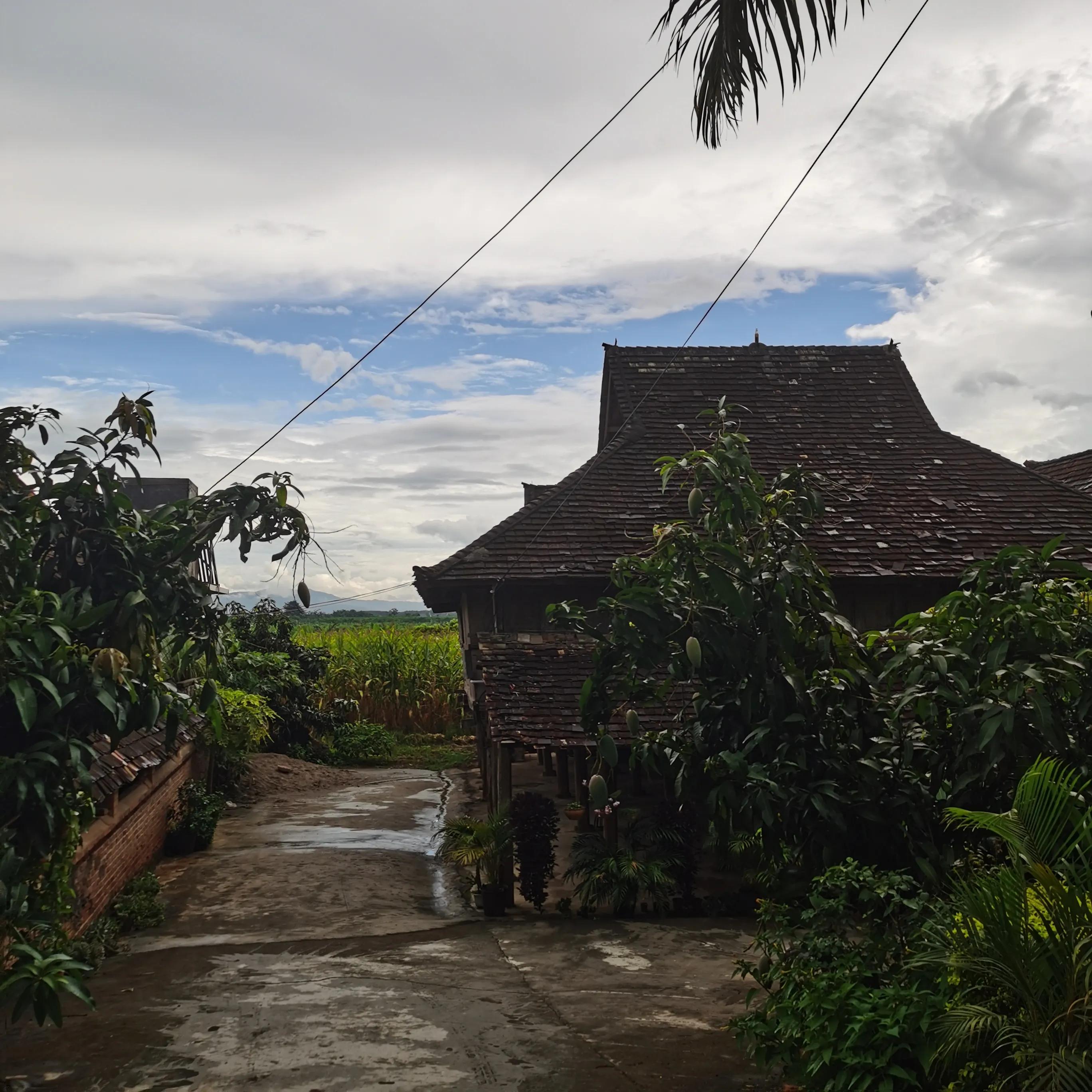 西双版纳曼远村游,西双版纳自由行一天攻略傣族园