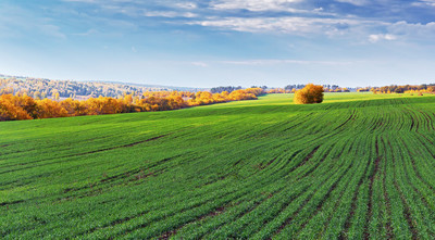 一亩等于多少平方公里怎么换算的,一亩有多少平方米怎么算