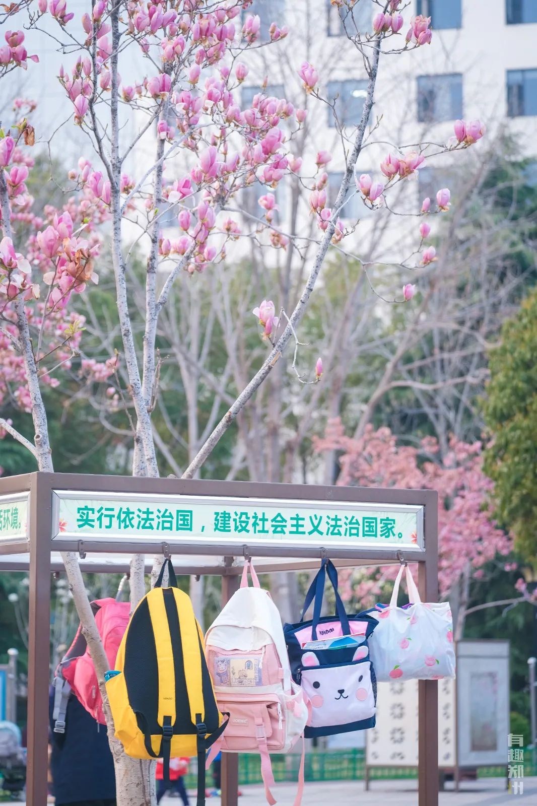 特异性皮炎打达必妥可以报销吗,特应性皮炎打针能报销吗