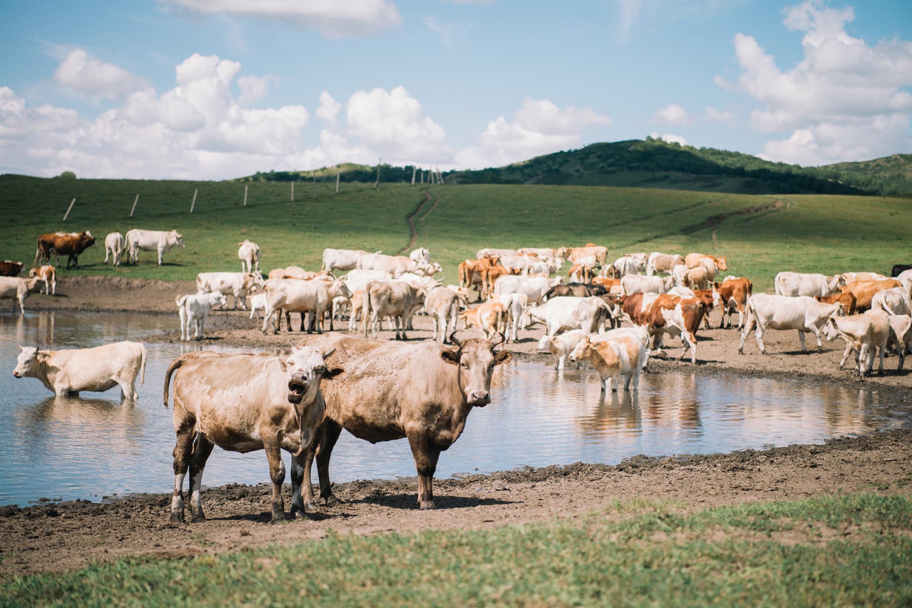 拥有这21件高颜值户外装备,让我们的草原野餐会像家里般优雅