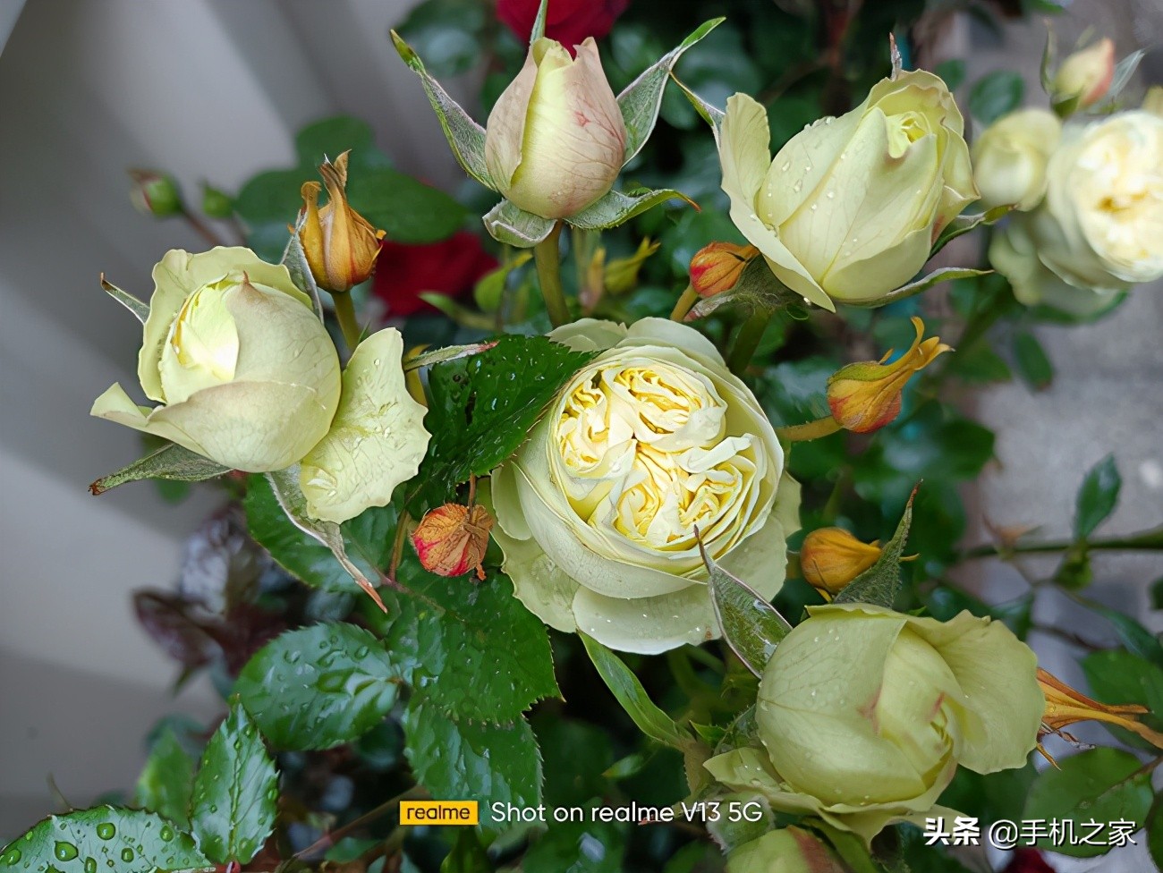 大电池大内存拍照好的5g手机,大电池拍照好旗舰手机