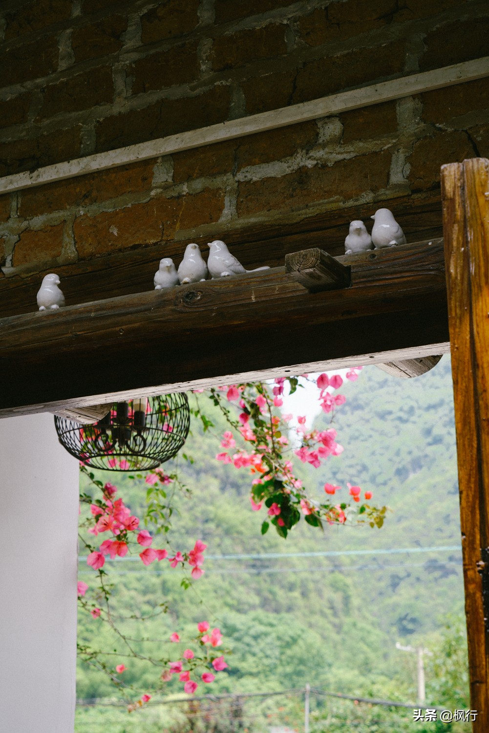 桂林阳朔旅游攻略一天半,最详细桂林阳朔旅游攻略