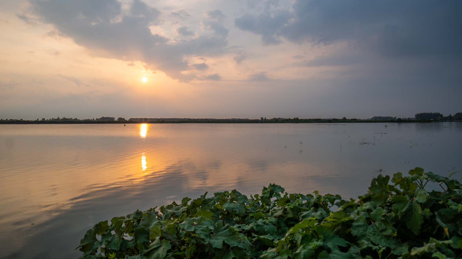 心仪之城连云港,心仪之城赣州