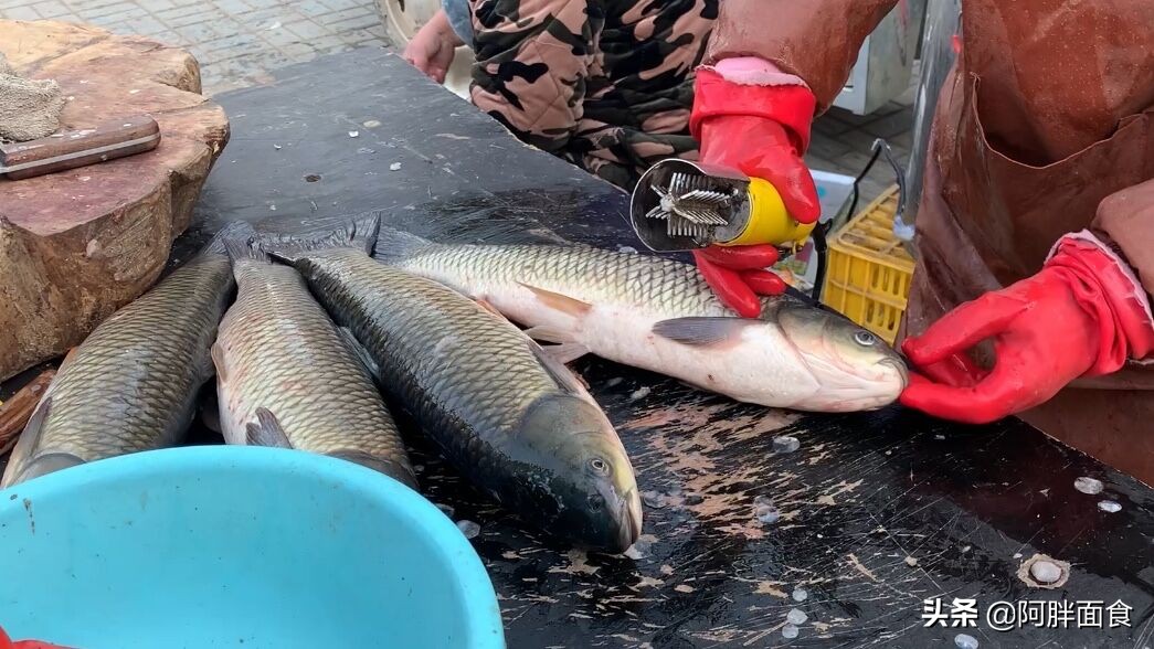 腊鱼做法正宗的腌制方法,腊鱼的做法和步骤