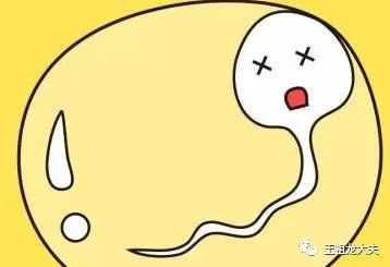 一篇文章让你秒懂,一篇文章让您读懂复刻表