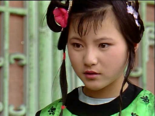 雪雁的寓意和象征是什么,雪雁和紫鹃的区别