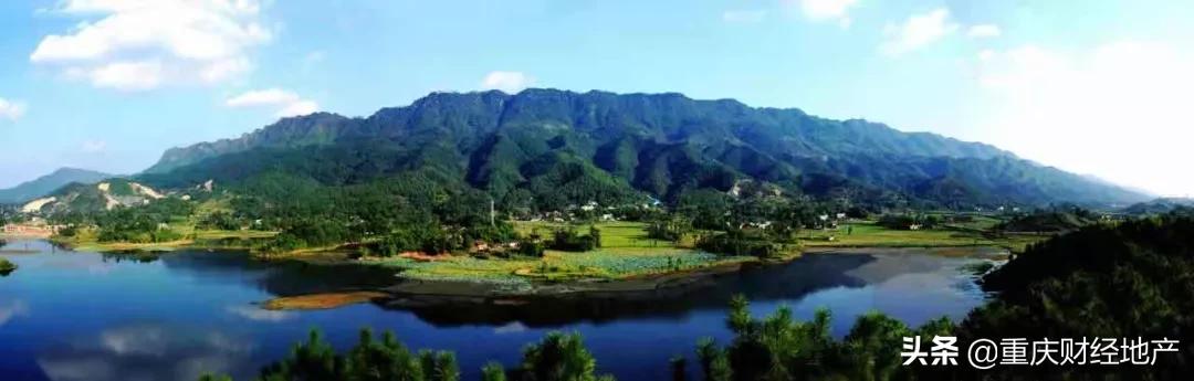 育才本部初中多少人直升育才高中,育才本部初中好吗