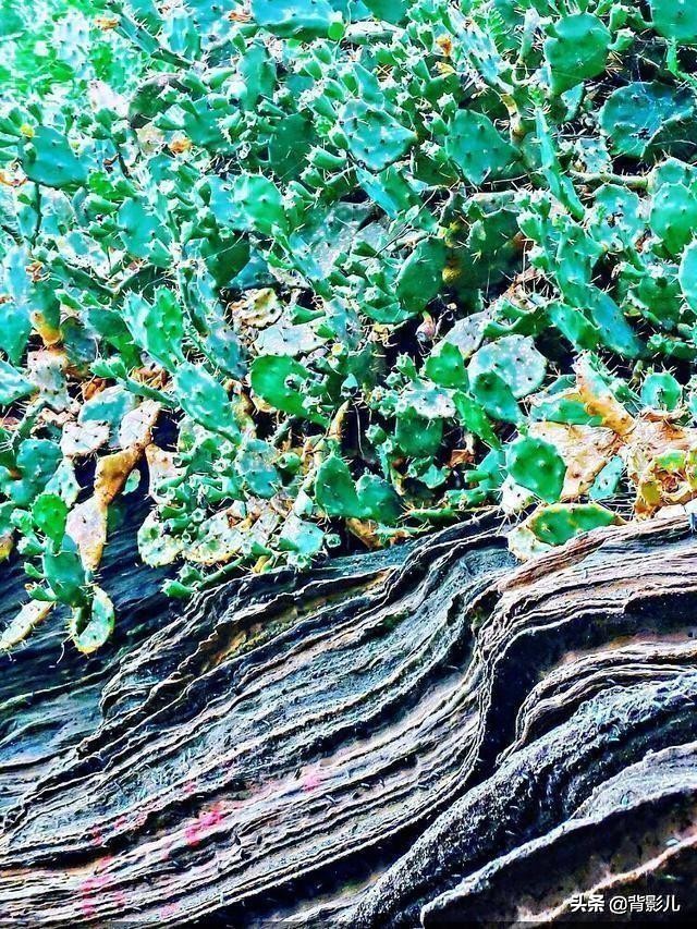 来北海有哪些好玩的,北海岛屿旅游攻略