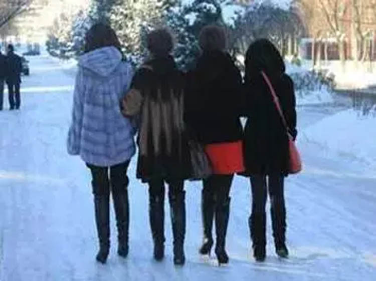 吉娜郎朗衣服,郎朗老婆吉娜针织短袖