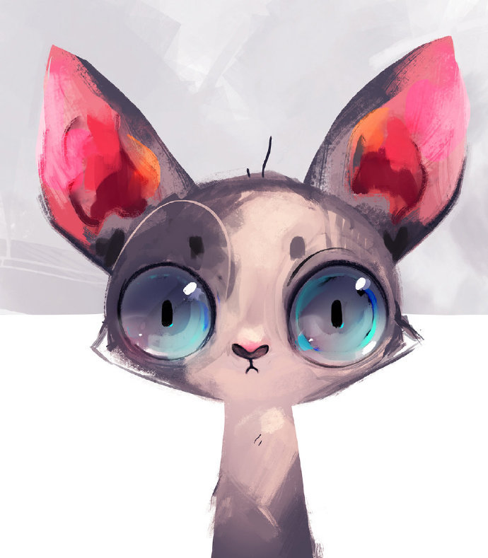 好看可爱又简单的动物眼睛插画,黑白和彩色强烈对比的插画