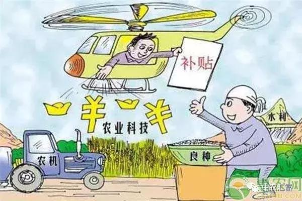 合作社补贴2020,农民入股合作社每亩补贴800元