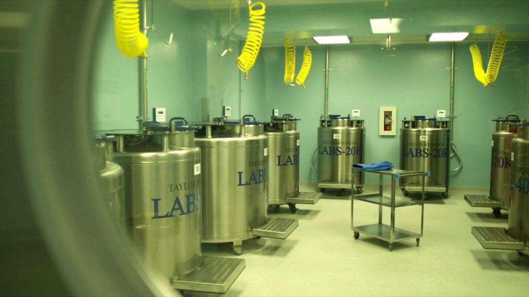 从地理视角看传染病电影,传染病科普视频动画