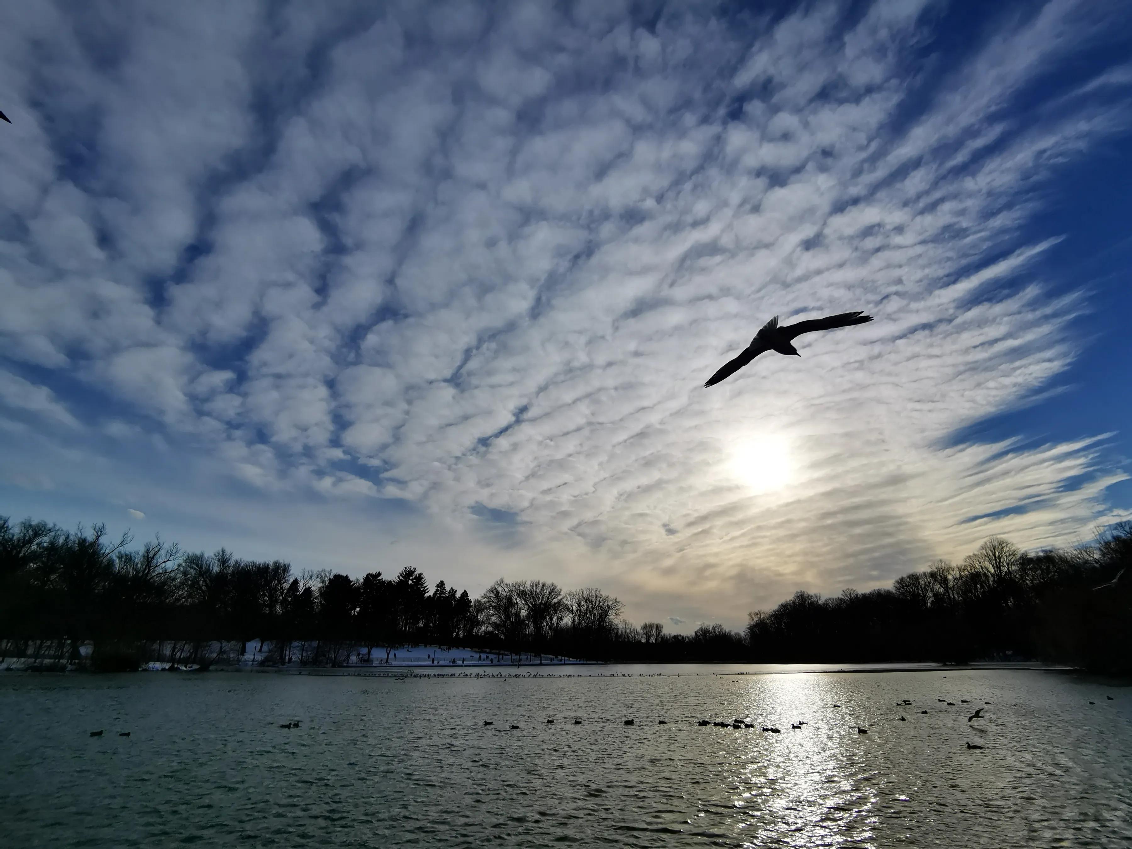 手拍世界手机摄影平台,手机摄影作品集大全集