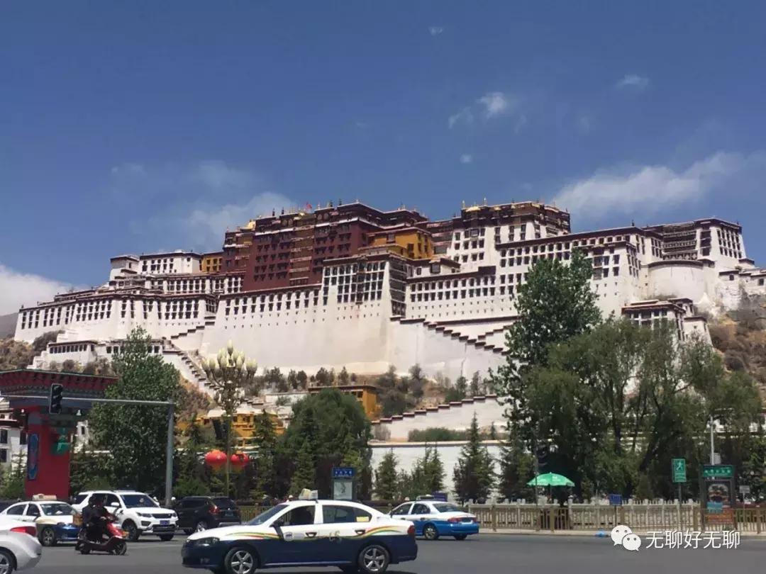 拉萨高原反应红景天,天上拉萨