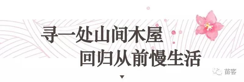 微时光田东,微时光美好生活