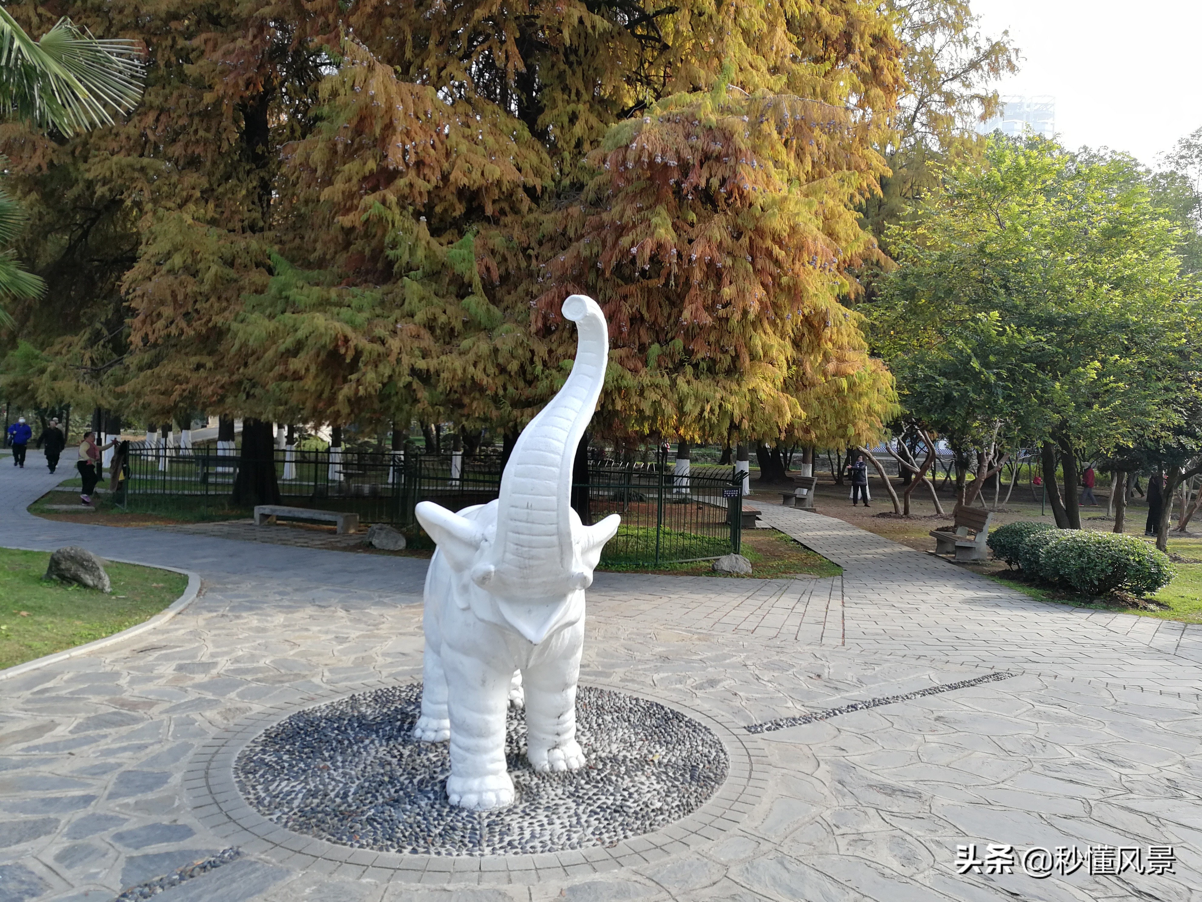 深秋武汉夜晚美景,秋日里的武汉