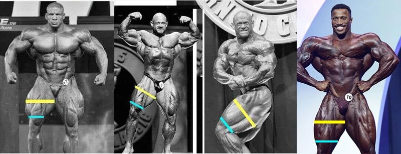 最漂亮大腿,从来不是上下一样粗!——“髋主导”技术定胜负