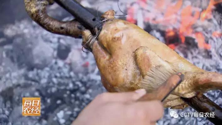 云龙诺邓火腿加工,云龙矮脚鸡