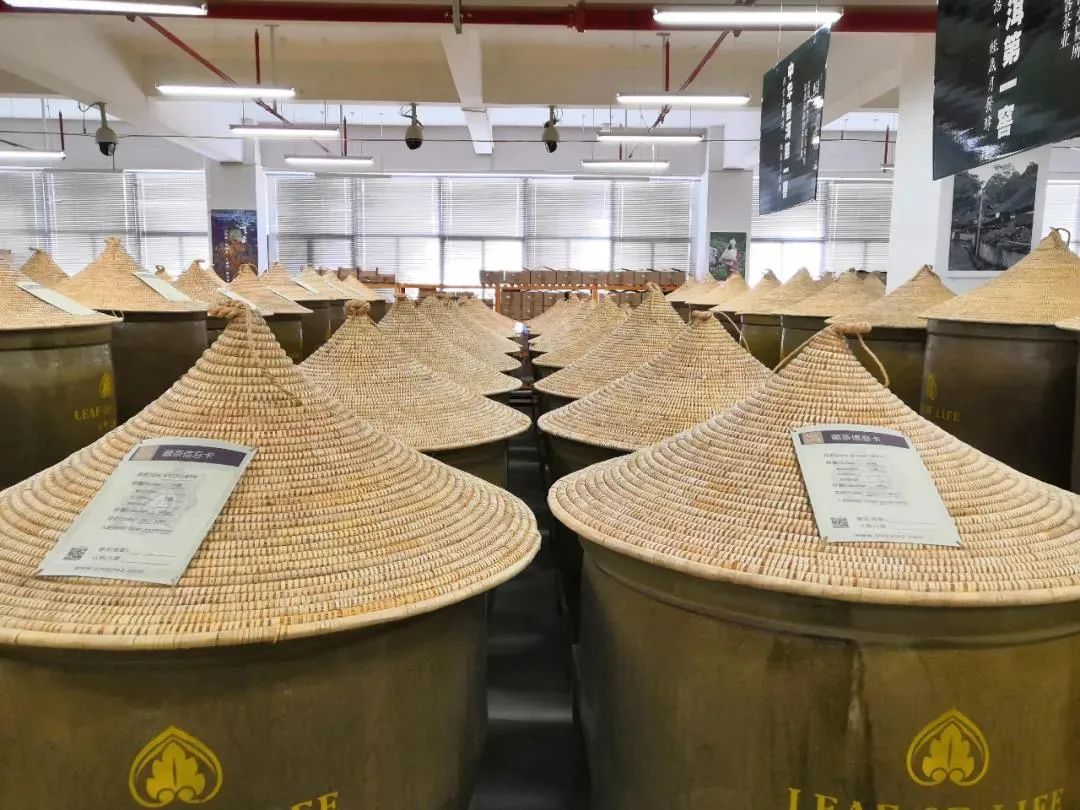 说茶网官方网站,说茶网的茶叶可靠吗