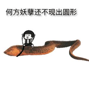 美容院用的淡斑面膜海藻,海藻面膜保湿美白