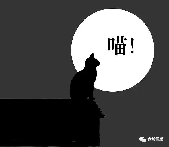 烤猫之死——币圈传奇的陨落
