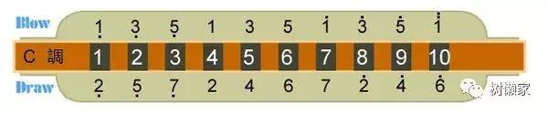 半音阶口琴10孔琴谱,12孔半音阶口琴音阶示意图