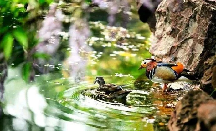 济南动物王国一日游详细攻略,济南一日游动物园