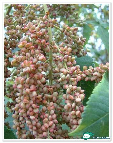 广西80后农村童年经典回忆,80后的童年回忆广西的农村生活