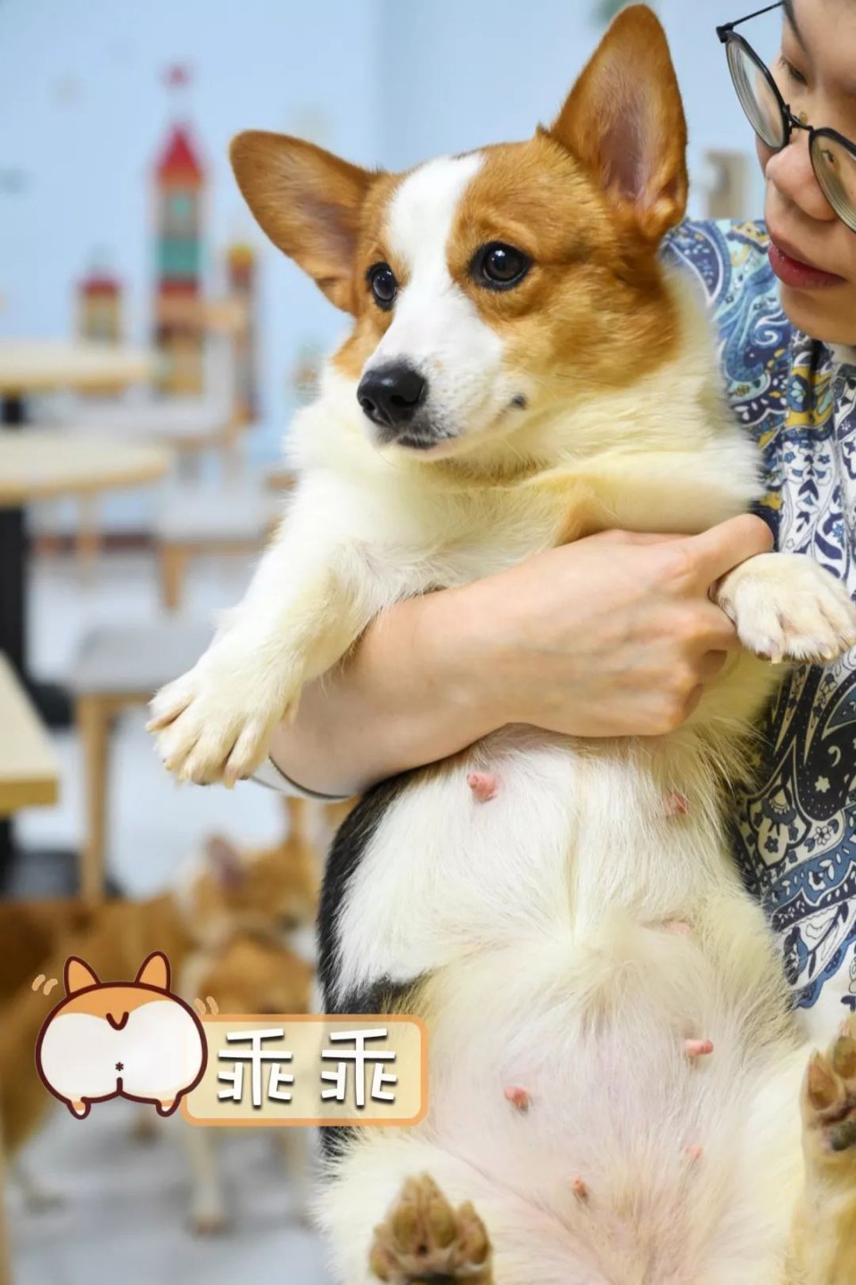 专门摸屁股的店，任摸