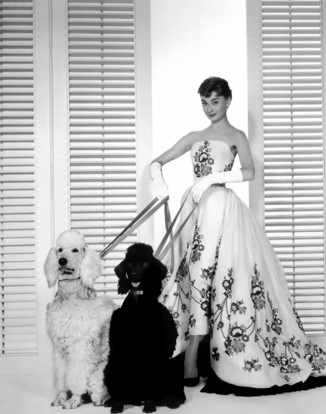 纪梵希四色散粉绿色,纪梵希四宫格散粉2022新款