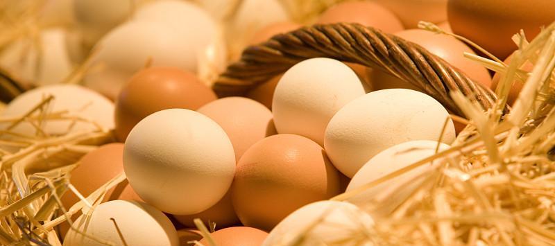 宝宝对蛋黄过敏还可以继续吃吗,宝宝第一次吃蛋黄过敏什么症状