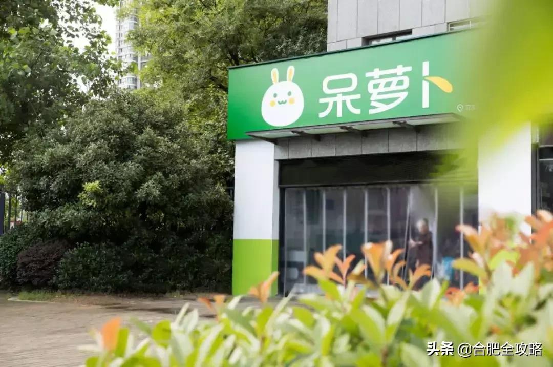 鍛嗚悵鍗滅敓椴滃簵鍓嶆櫙濡備綍,鏈堝叆杩囦竾鏂板叴琛屼笟