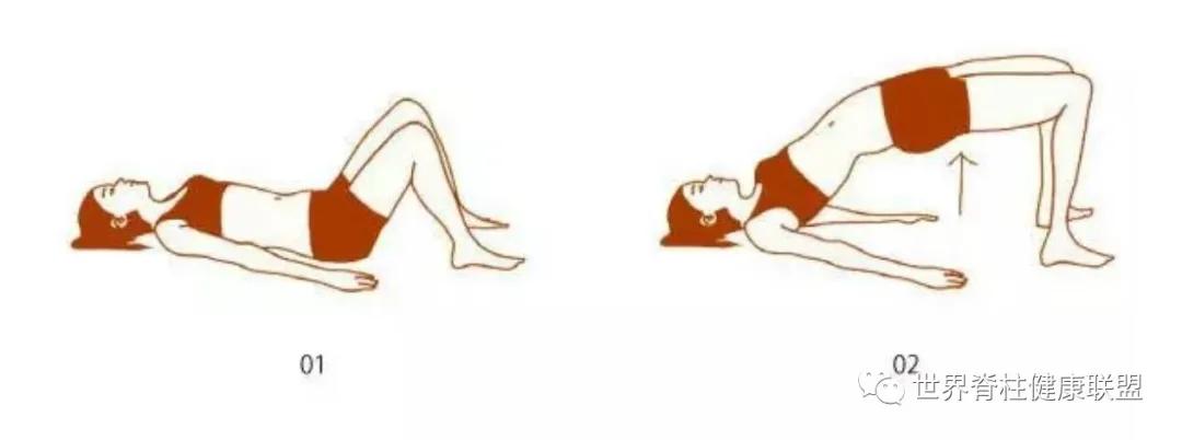 “啪啪啪”的玄机,原来在这块肌肉上