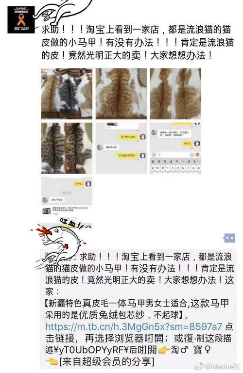 商家出售疑似猫皮马甲？专家：不符逻辑哗众取宠