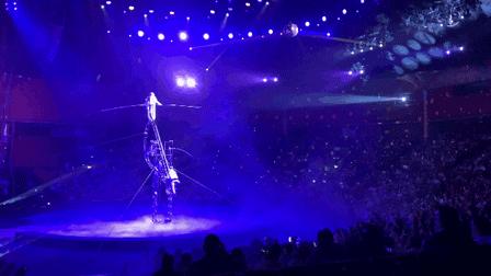 黄金周不用做攻略，这个海洋+科技的超大主题乐园，全家人都尽兴