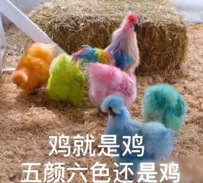 你可能上了个假公学