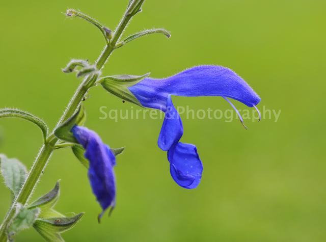 股指期货哪家杠杆高,哪家期货公司杠杆最高