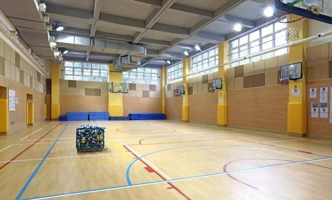 上海新晋10所黑马小学大盘点,上海最出名的十所小学