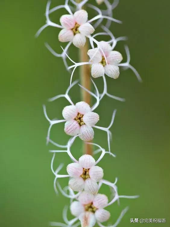 六一相册影集,六一照片专场