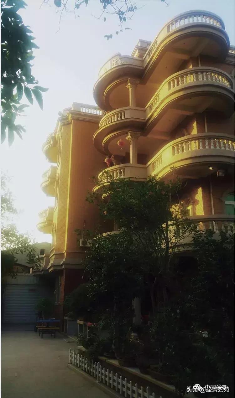 陈文图榕树欣赏,陈文图盆景