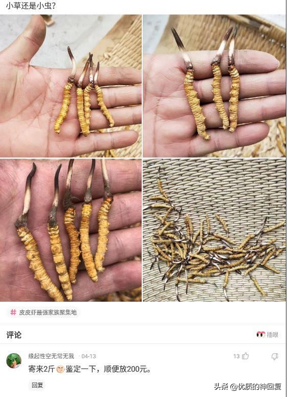 “第一次跟情侣睡，是什么感觉？”评论区都是高手啊！哈哈哈