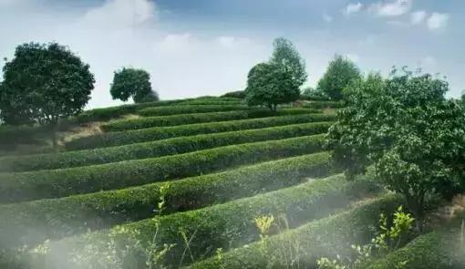 五一小众旅游推荐长沙周边,端午旅游推荐2-3天游长沙