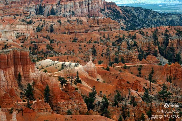 鍖楃編鏋儏闃虫柊,鍖楃編鏋儏鍥剧墖